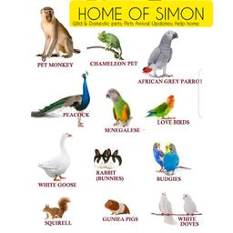 Home of Simon.