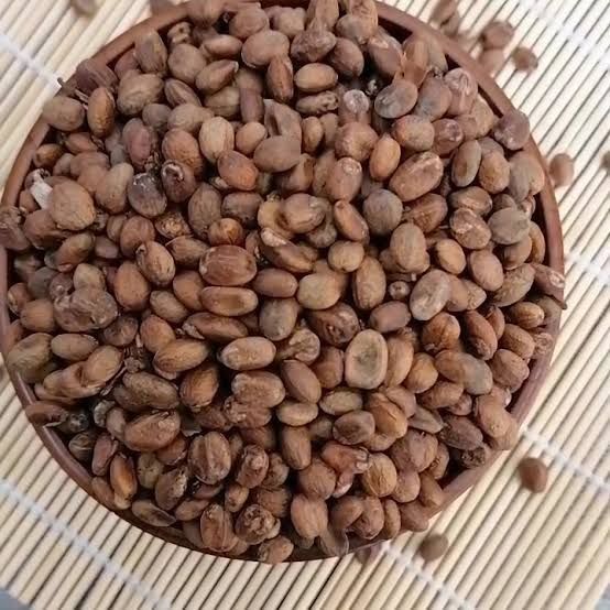 Miracle Seed, Isolo, Lagos, Health and Wellness
