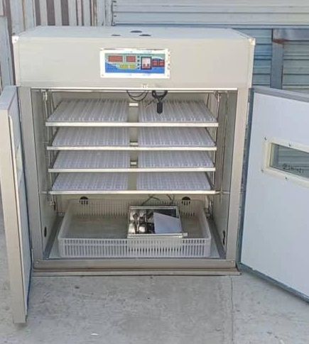 Egg Incubator, Food and Agriculture