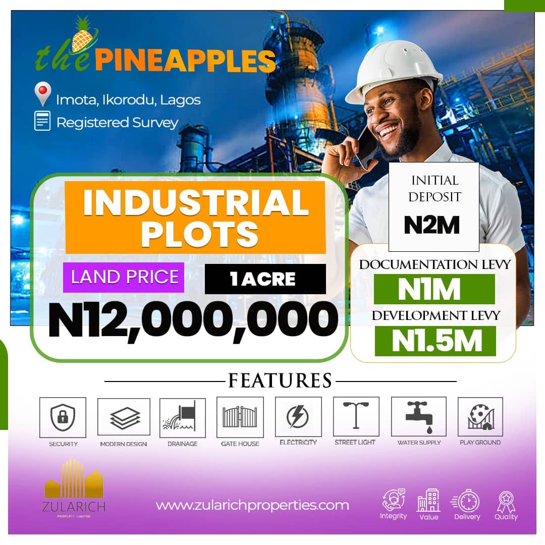 Land @ Pineapples Estate Imota, Ikorodu, Lagos, Property