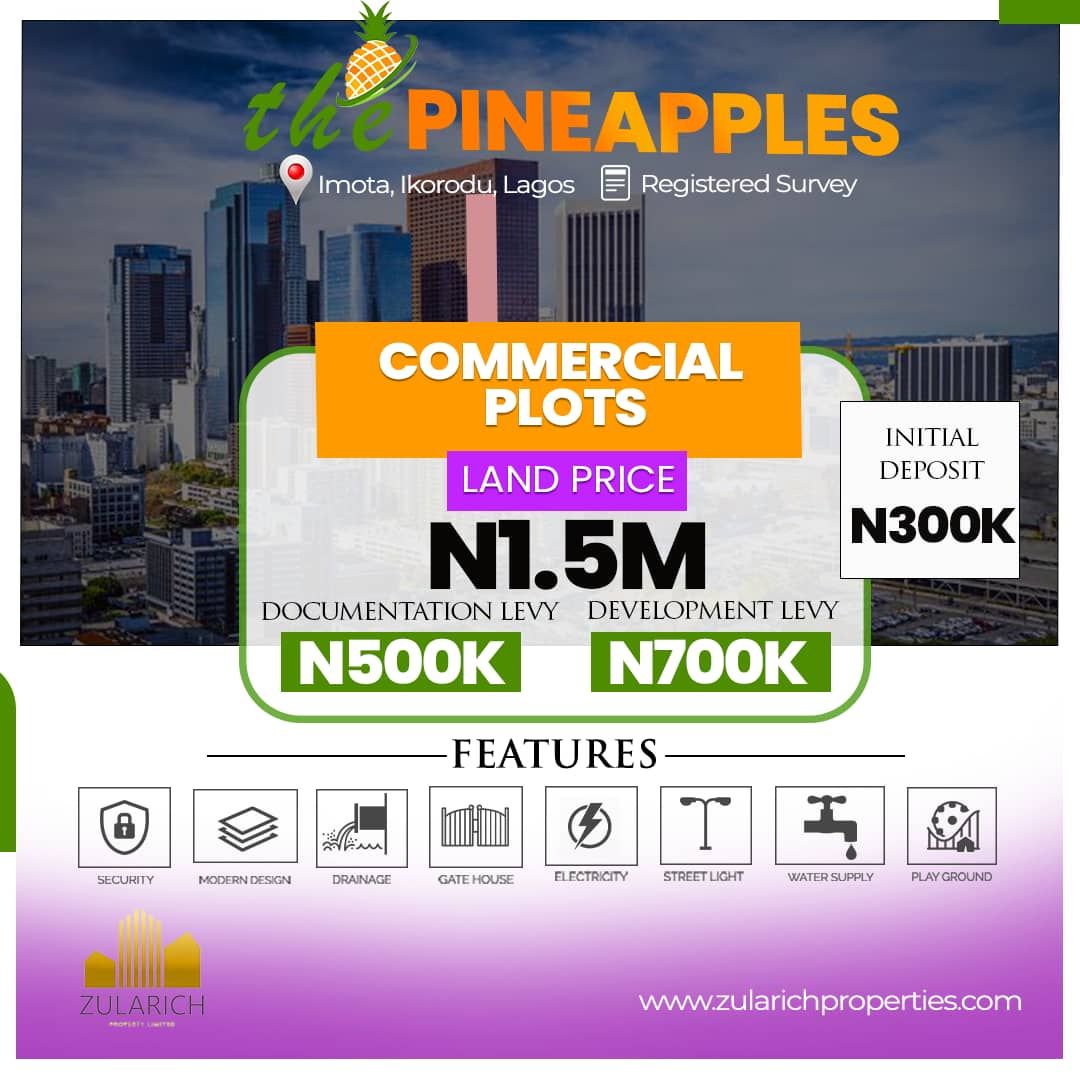Land @ Pineapples Estate Imota, Ikorodu, Lagos, Property