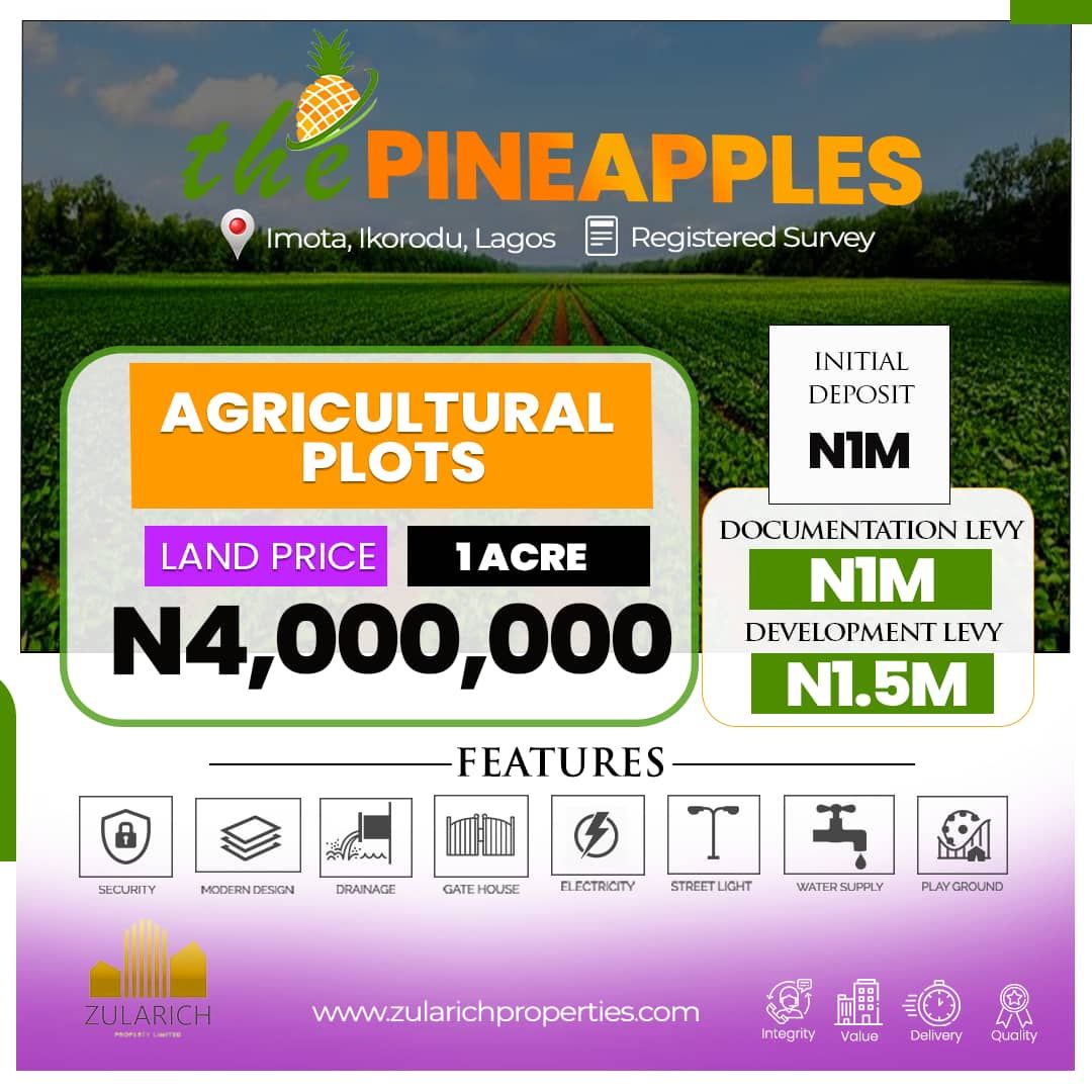 Land @ Pineapples Estate Imota, Ikorodu, Lagos, Property