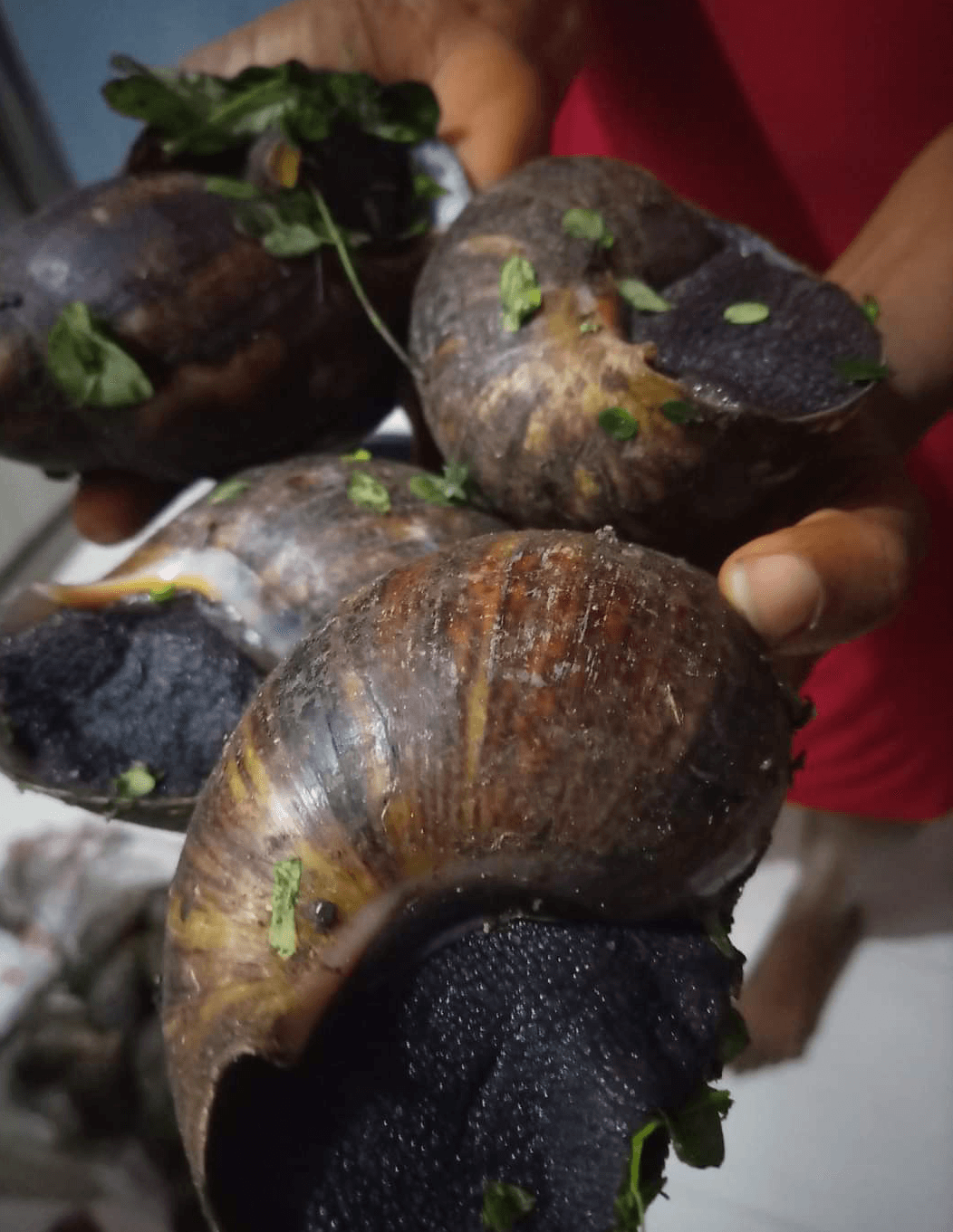 Jumbo Snails Per kilo