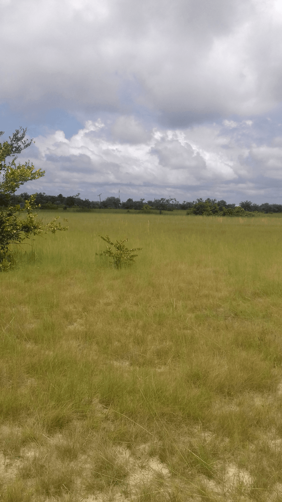 One  Plot of Land for Sale in Lekki
